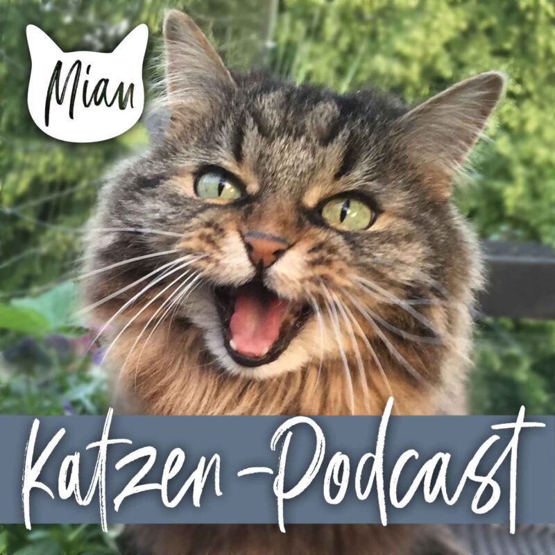 1500x1500 Katzen Podcast 2020