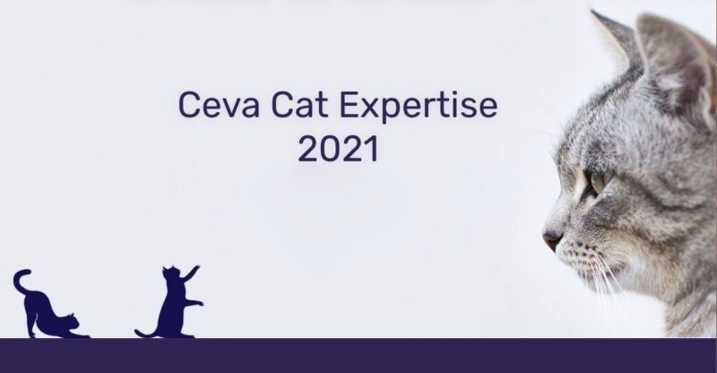 CEVA CEVA