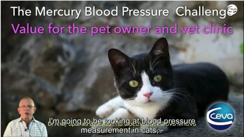 Blood Pressure