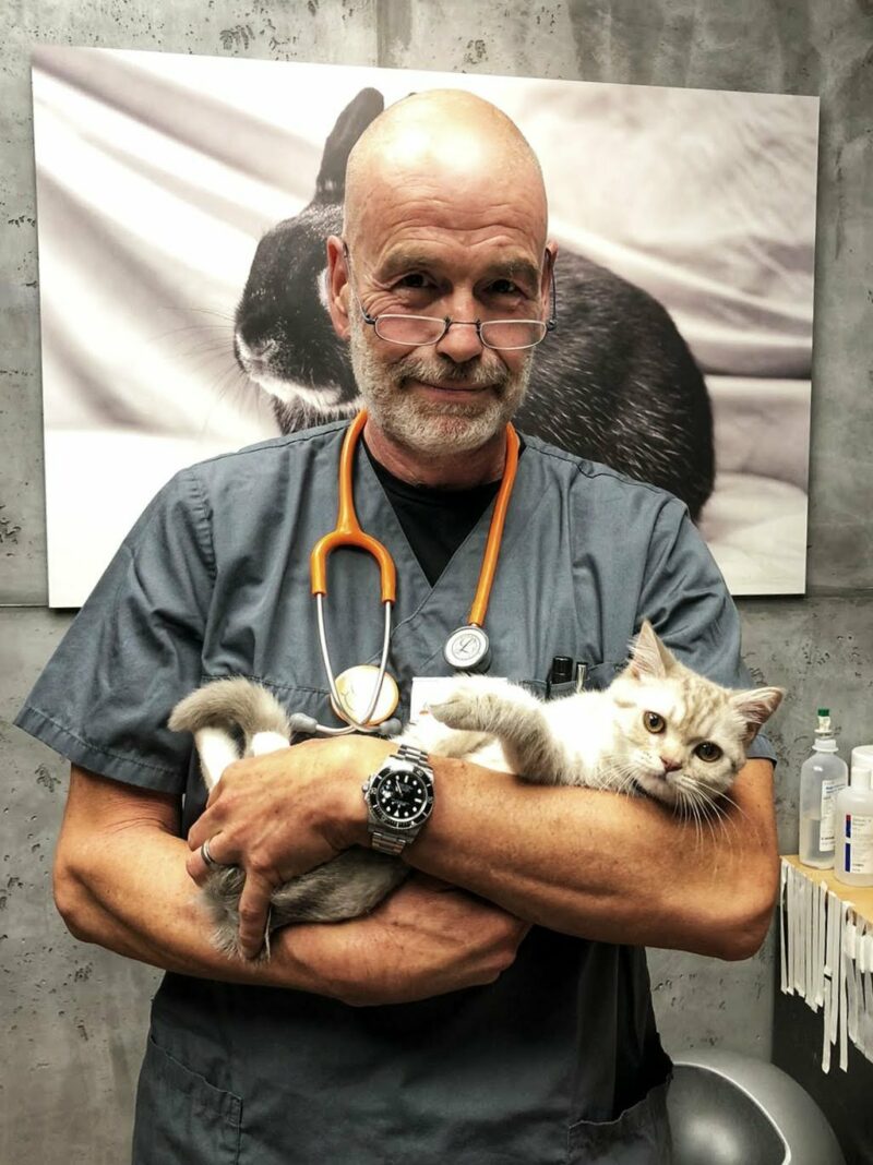 Ralph mit Kitten