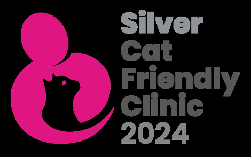 CFC logo Silver 2024 1 768x481
