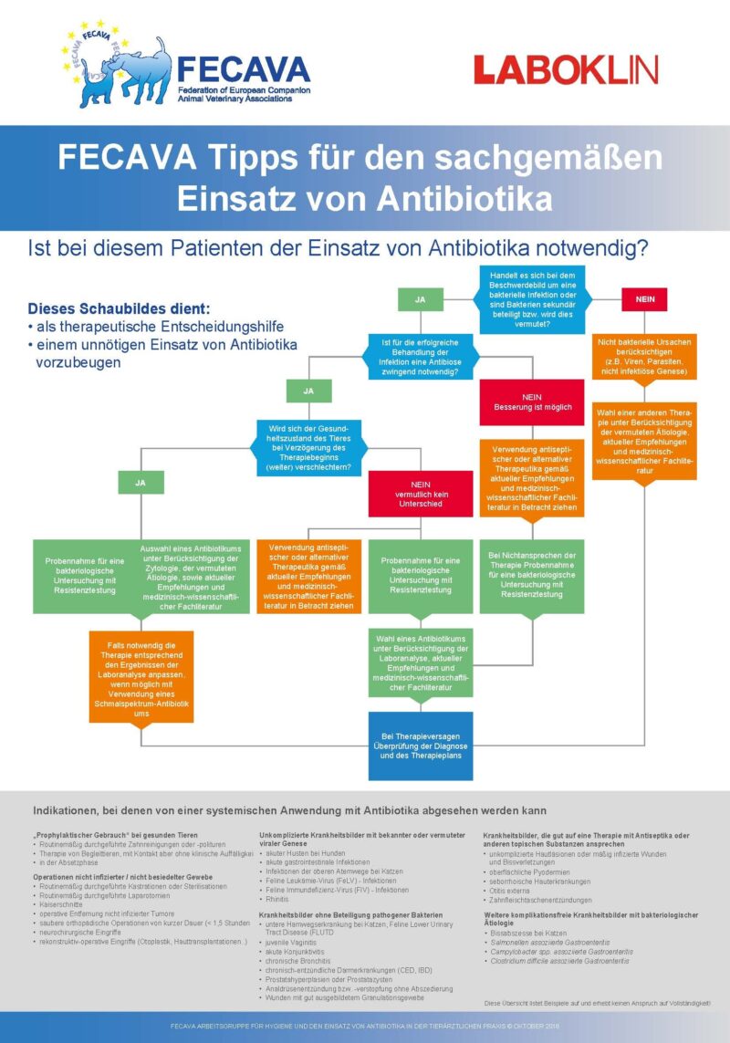 Abb 4 Poster der FECAVA zum sachgemaessen Einsatz von Antibiotika