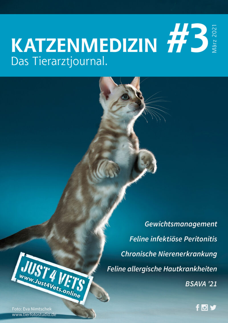 CATS 3 Titel