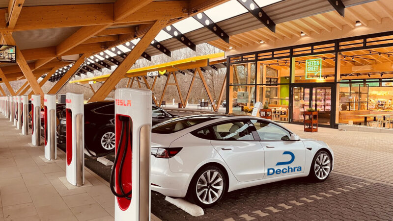 Dechra Tesla Tesla Model 3 Dechra Veterinary 2