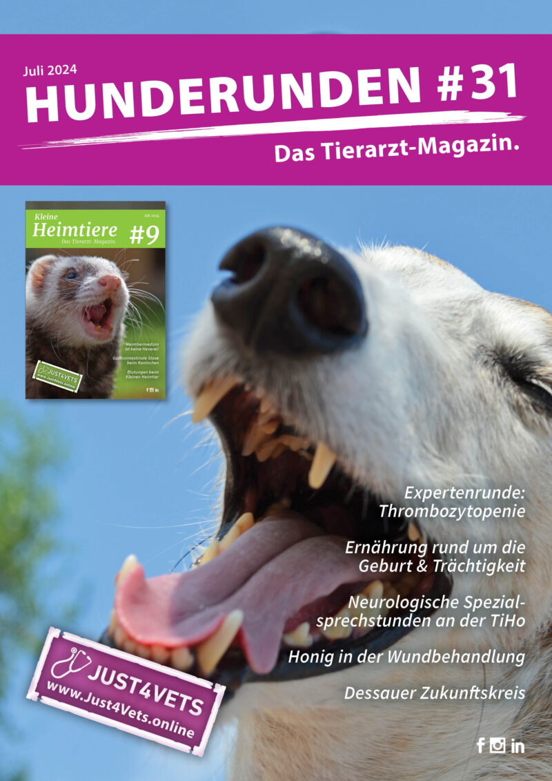 HR 31 Titel