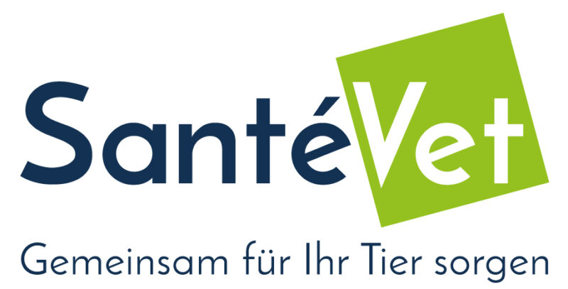Logo SV DE