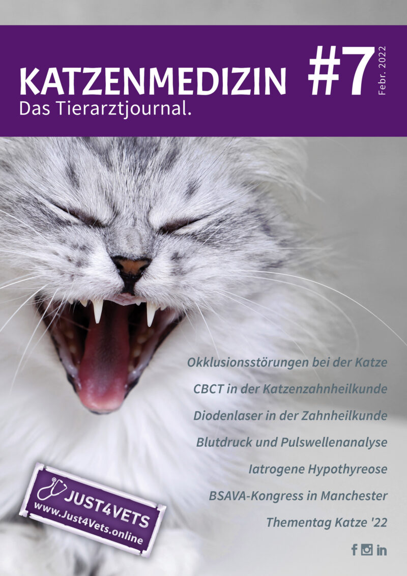 Titel CATS 7