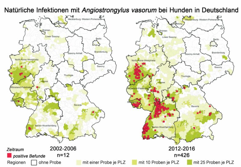 Verbreitung Lungenwmer In Deutschland 2002 2016 Zus