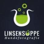 Portrait Linsensuppe Hundefotografie